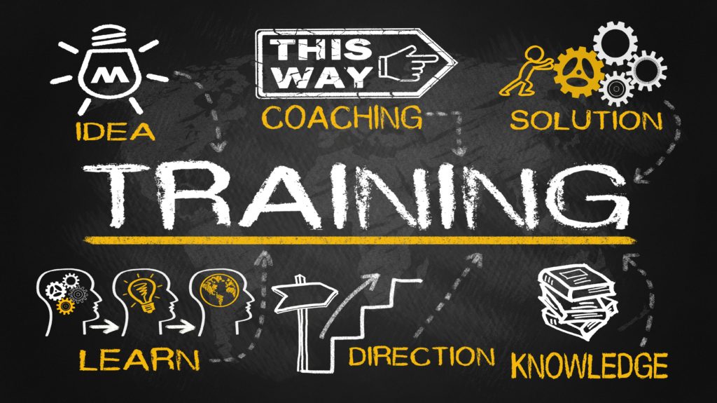 3 Rewarding Training Methods