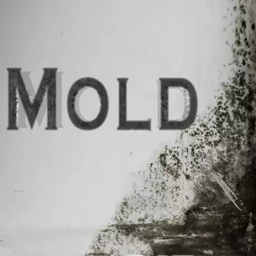 Mold Prevention and Remediation Awareness Training