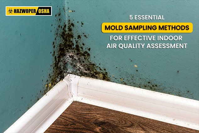 A black mold growth in the corner of a room.