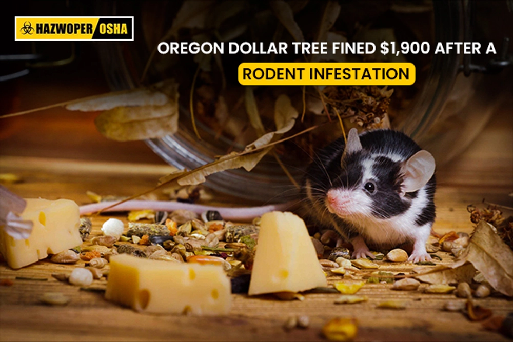 Oregon Dollar Tree Fined $1,900 After a Rodent Infestation