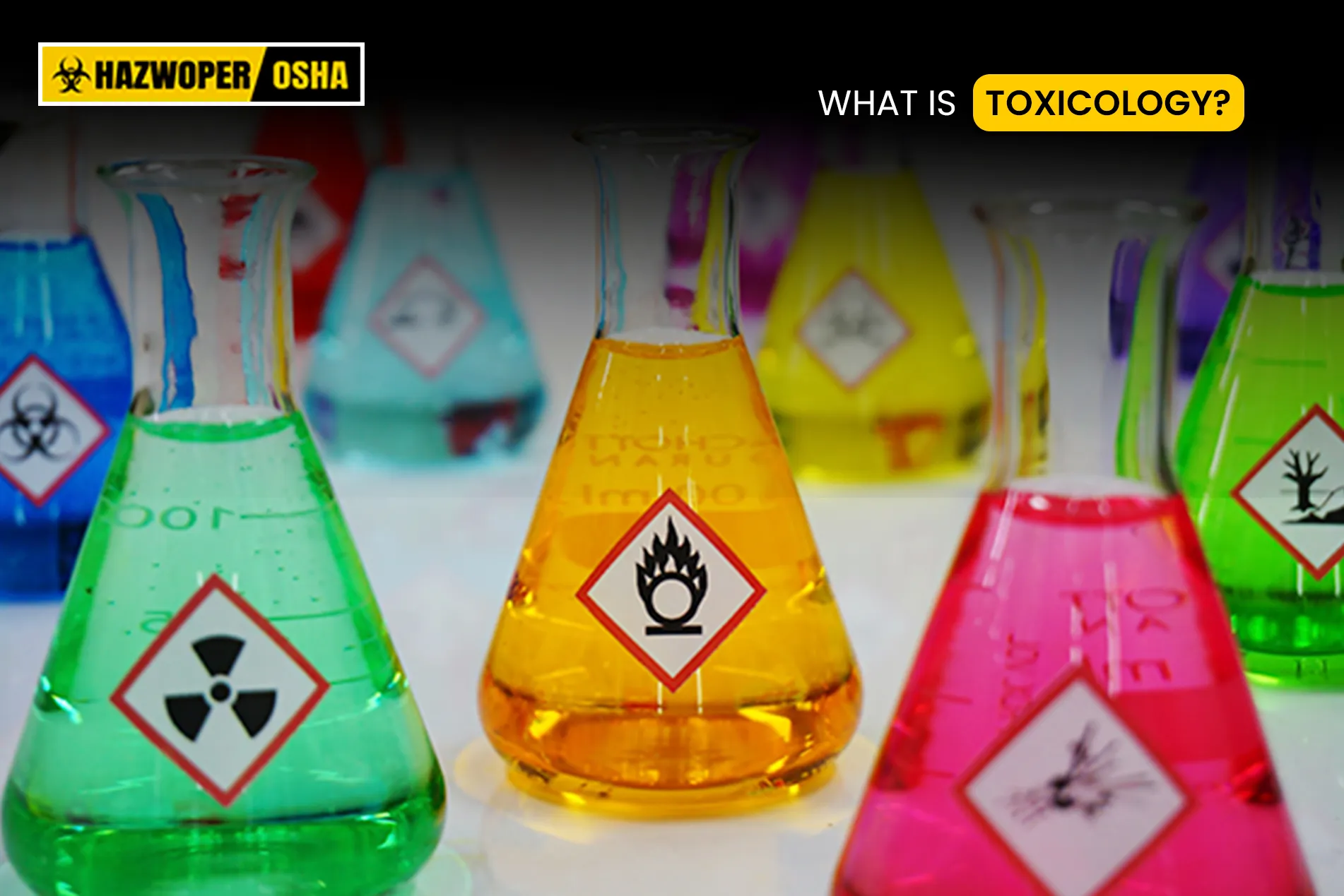 What is Toxicology?