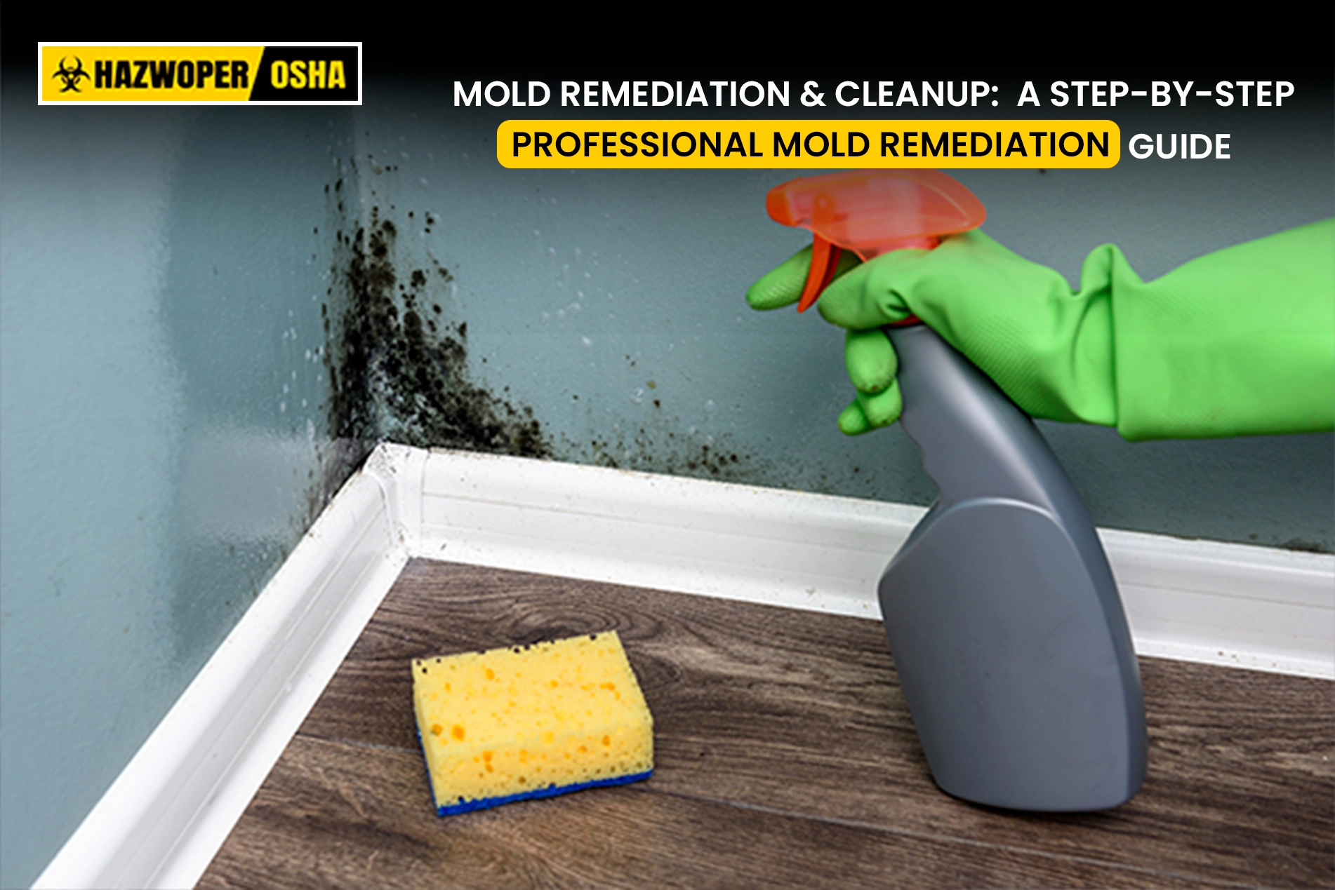 Mold Remediation and Cleanup:  A Step-by-Step Professional Mold Remediation Guide
