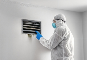 Mold Awareness, Prevention, and Remediation Training for Property Management Teams