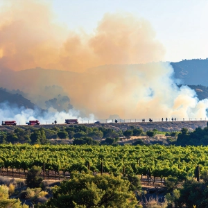 Wildfire Smoke Safety Awareness Training